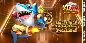 Ban Ca Bien Ca – Kham Pha Va Thu Loi Tu Dai Duong Win88