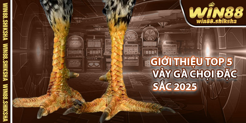 Giới thiệu top 5 vảy gà chọi đặc sắc 2025