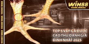Top 5 Vay Ga Choi Duoc Cao Thu Ga Danh Gia Dinh Nhat 2025